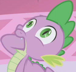 Size: 502x476 | Tagged: safe, screencap, character:spike, episode:the ticket master, g4, my little pony: friendship is magic, claw in mouth, cropped, faec, solo