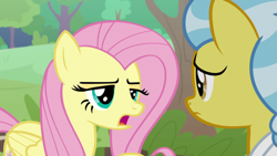 Size: 1920x1080 | Tagged: safe, screencap, character:angel bunny, character:doctor fauna, character:fluttershy, species:pegasus, species:pony, episode:she talks to angel, g4, my little pony: friendship is magic, body swap, duo, female, mare, open mouth