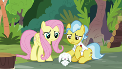Size: 1920x1080 | Tagged: safe, screencap, character:angel bunny, character:doctor fauna, character:fluttershy, species:earth pony, species:pegasus, species:pony, species:rabbit, episode:she talks to angel, g4, my little pony: friendship is magic, animal, body swap, bruised, clothing, eyes closed, female, male, mare, shirt, trio