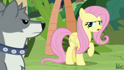 Size: 1920x1080 | Tagged: safe, screencap, character:angel bunny, character:fluttershy, species:pegasus, species:pony, species:wolf, episode:she talks to angel, g4, my little pony: friendship is magic, body swap, collar, dog collar, female, mare, raised hoof, sandra