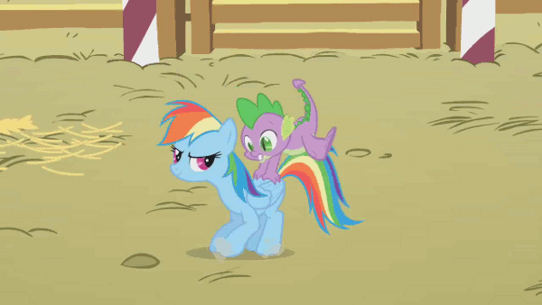 Size: 600x338 | Tagged: safe, screencap, character:rainbow dash, character:spike, episode:fall weather friends, g4, my little pony: friendship is magic, animated, bucking, evil grin, frown, loop, riding, spikeabuse