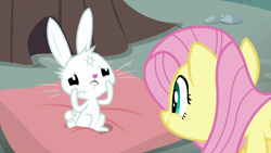 Size: 1920x1080 | Tagged: safe, screencap, character:angel bunny, character:fluttershy, species:pony, species:rabbit, episode:she talks to angel, g4, my little pony: friendship is magic, animal, body swap, bruised, duo, female, male, mare, pillow