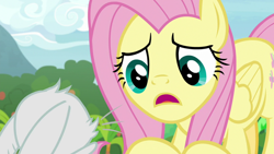 Size: 1920x1080 | Tagged: safe, screencap, character:angel bunny, character:fluttershy, species:pegasus, species:pony, episode:she talks to angel, g4, my little pony: friendship is magic, animation error, body swap, female, mare