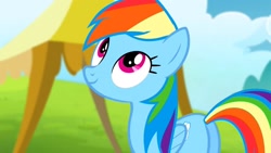 Size: 1280x720 | Tagged: safe, screencap, character:rainbow dash, species:pegasus, species:pony, episode:rainbow falls, g4, my little pony: friendship is magic, butt, plot, solo