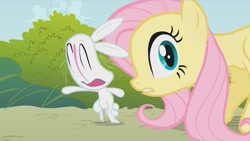 Size: 1277x720 | Tagged: safe, screencap, character:angel bunny, character:fluttershy, species:pegasus, species:pony, episode:dragonshy, g4, my little pony: friendship is magic, duo, faec, female, great moments in animation, mare, nightmare fuel, smear frame, wat