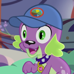 Size: 300x300 | Tagged: safe, screencap, character:spike, character:spike (dog), species:dog, equestria girls:legend of everfree, g4, my little pony:equestria girls, cropped, solo