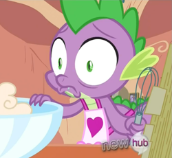 Size: 819x754 | Tagged: safe, screencap, character:spike, episode:just for sidekicks, g4, my little pony: friendship is magic, faec, reaction image, solo, why