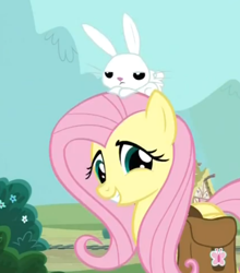Size: 478x543 | Tagged: safe, screencap, character:angel bunny, character:fluttershy, episode:just for sidekicks, g4, my little pony: friendship is magic, saddle bag, smiling