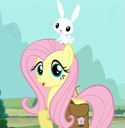 Size: 581x595 | Tagged: safe, screencap, character:angel bunny, character:fluttershy, episode:just for sidekicks, g4, my little pony: friendship is magic, saddle bag, surprised