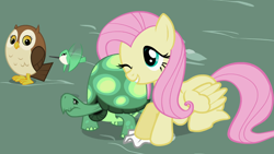 Size: 1366x768 | Tagged: safe, screencap, character:fluttershy, character:tank, species:bird, species:owl, species:pegasus, species:pony, episode:may the best pet win, g4, my little pony: friendship is magic, cute, female, handkerchief, hummingbird, male, mare, tortoise