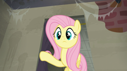 Size: 1920x1080 | Tagged: safe, screencap, character:fluttershy, species:pegasus, species:pony, episode:the saddle row review, g4, my little pony: friendship is magic, solo