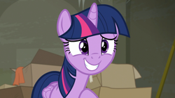 Size: 1920x1080 | Tagged: safe, screencap, character:twilight sparkle, character:twilight sparkle (alicorn), species:alicorn, species:pony, episode:the saddle row review, g4, my little pony: friendship is magic, cardboard box, female, mare, smiling, solo