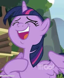 Size: 646x785 | Tagged: safe, screencap, character:twilight sparkle, character:twilight sparkle (alicorn), species:alicorn, species:pony, episode:memnagerie, 9now, cropped, eyes closed, faec, female, hoof on chest, mare, open mouth, raised hoof, solo, spread wings, wings