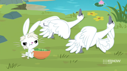 Size: 1280x720 | Tagged: safe, screencap, character:angel bunny, species:bird, species:rabbit, episode:memnagerie, animal, male, swan