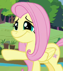 Size: 341x384 | Tagged: safe, screencap, character:fluttershy, species:pegasus, species:pony, episode:memnagerie, cropped, cute, faec, female, folded wings, mare, raised hoof, shyabetes, solo, wide smile