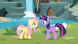 Size: 1600x900 | Tagged: safe, screencap, character:fluttershy, character:twilight sparkle, character:twilight sparkle (alicorn), species:alicorn, species:bird, species:pony, episode:memnagerie, 9now, door, grass, outdoors, swan, sweet feather sanctuary, tire swing, waterfall, watermark