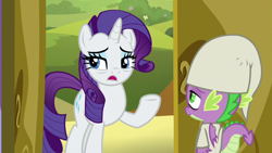 Size: 1920x1080 | Tagged: safe, screencap, character:rarity, character:spike, episode:dragon dropped, g4, my little pony: friendship is magic