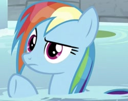 Size: 645x514 | Tagged: safe, screencap, character:rainbow dash, species:pegasus, species:pony, episode:deep tissue memories, cropped, cute, dashabetes, solo, water, wet mane