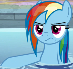 Size: 824x778 | Tagged: safe, screencap, character:rainbow dash, species:pegasus, species:pony, episode:deep tissue memories, cropped, pouting, solo, water, wet mane, wet mane rainbow dash