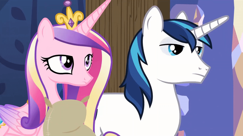 Size: 800x450 | Tagged: safe, screencap, character:princess cadance, character:shining armor, species:alicorn, species:pony, species:unicorn, episode:best gift ever, g4, my little pony: friendship is magic, animated, laughing
