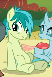 Size: 594x888 | Tagged: safe, screencap, character:ocellus, character:sandbar, species:changedling, species:changeling, species:pony, species:reformed changeling, cropped, duo focus, offscreen character, sitting, smiling, tail