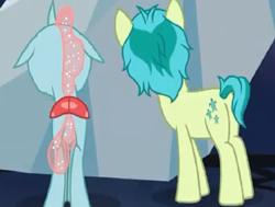 Size: 726x548 | Tagged: safe, screencap, character:ocellus, character:sandbar, species:changedling, species:changeling, species:earth pony, species:pony, species:reformed changeling, episode:uprooted, g4, my little pony: friendship is magic, butt, cropped, duo, flank, mane, ocellass, plot, sandbutt, tail