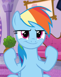 Size: 442x561 | Tagged: safe, screencap, character:rainbow dash, episode:deep tissue memories, cropped, flexing, smiling, solo, tough
