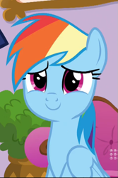 Size: 513x769 | Tagged: safe, screencap, character:rainbow dash, species:pegasus, species:pony, episode:deep tissue memories, cropped, cute, dashabetes, smiling, solo