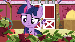 Size: 1280x720 | Tagged: safe, screencap, character:starlight glimmer, character:twilight sparkle, character:twilight sparkle (alicorn), species:alicorn, species:pony, episode:harvesting memories, female, mare, sweet apple acres
