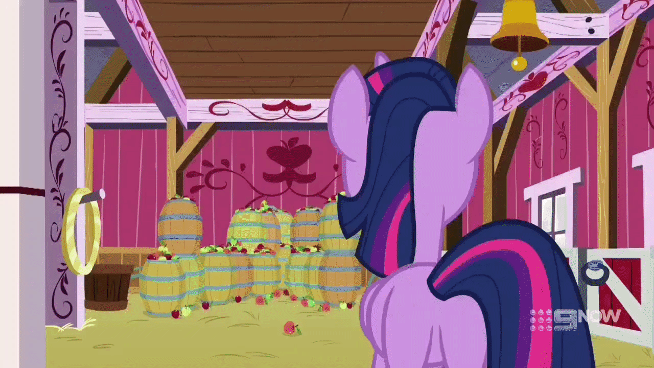 Size: 1280x720 | Tagged: safe, screencap, character:spike, character:twilight sparkle, character:twilight sparkle (alicorn), species:alicorn, species:dragon, species:pony, episode:harvesting memories, 9now, animated, barn, blocking, claws, confused, door, door slam, fangs, female, flapping, flying, frown, male, mare, narrowed eyes, serious, surprised, sweet apple acres, trapped, winged spike
