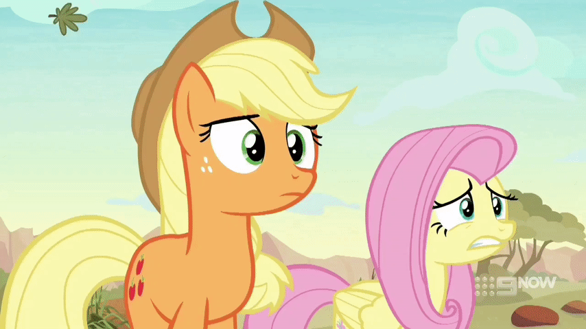 Size: 854x480 | Tagged: safe, screencap, character:applejack, character:fluttershy, species:earth pony, species:pegasus, species:pony, episode:sounds of silence, g4, my little pony: friendship is magic, animated, leaves, wind, windswept mane