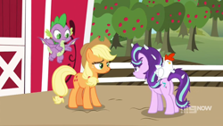 Size: 1600x900 | Tagged: safe, screencap, character:applejack, character:spike, character:starlight glimmer, species:bird, species:chicken, species:dragon, episode:harvesting memories, 9now, apple, apple tree, barn, farm, feather, fence, flying, frazzled, orchard, sweet apple acres, tree, winged spike