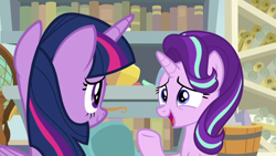 Size: 1920x1080 | Tagged: safe, screencap, character:starlight glimmer, character:twilight sparkle, character:twilight sparkle (alicorn), species:alicorn, species:pony, species:unicorn, episode:a horse shoe-in, g4, my little pony: friendship is magic, book, bookshelf, duo, female, globe, mare, scroll, starlight's office