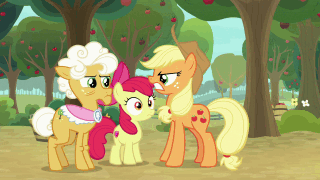 Size: 320x180 | Tagged: safe, screencap, character:ahuizotl, character:apple bloom, character:applejack, character:biff, character:discord, character:doctor caballeron, character:doctor whooves, character:fluttershy, character:goldie delicious, character:granny smith, character:matilda, character:pinkie pie, character:rainbow dash, character:rarity, character:spike, character:starlight glimmer, character:sunburst, character:time turner, character:trixie, character:twilight sparkle, character:twilight sparkle (alicorn), species:alicorn, species:donkey, species:draconequus, species:dragon, species:earth pony, species:pony, species:unicorn, episode:a horse shoe-in, episode:a trivial pursuit, episode:a-dressing memories, episode:cakes for the memories, episode:daring doubt, episode:dragon dropped, episode:going to seed, episode:student counsel, episode:the ending of the end, g4, my little pony: friendship is magic, animated, apple, apple tree, bag, boop, boop compilation, carousel boutique, compilation, female, food, gif, glasses, glowing eyes, henchmen, male, mare, messy hair, messy mane, noseboop, saddle bag, stallion, sugarcube corner, supercut, tree, twilight snapple, winged spike