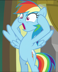 Size: 584x723 | Tagged: safe, screencap, character:rainbow dash, species:pegasus, species:pony, episode:grannies gone wild, g4, my little pony: friendship is magic, bipedal, cropped, female, mare, open mouth, shocked, shrunken pupils, solo, spread wings, wings