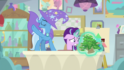 Size: 1920x1080 | Tagged: safe, screencap, character:phyllis, character:starlight glimmer, character:trixie, species:pony, species:unicorn, episode:a horse shoe-in, g4, my little pony: friendship is magic, cape, clothing, desk, eyes closed, female, hat, magic, magic aura, mare, philodendron, plant, potted plant, telekinesis, trixie's cape, trixie's hat