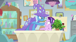 Size: 1920x1080 | Tagged: safe, screencap, character:phyllis, character:starlight glimmer, character:trixie, species:pony, species:unicorn, episode:a horse shoe-in, g4, my little pony: friendship is magic, boop, cape, clothing, desk, duo, female, hat, mare, philodendron, plant, potted plant, trixie's cape, trixie's hat