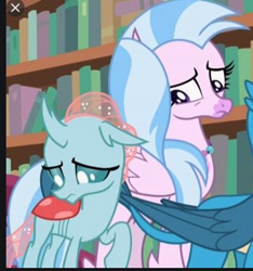 Size: 330x353 | Tagged: safe, screencap, character:gallus, character:ocellus, character:silverstream, species:changedling, episode:what lies beneath, g4, my little pony: friendship is magic, cropped, cute, diaocelles, diastreamies, looking down
