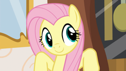 Size: 1920x1080 | Tagged: safe, screencap, character:fluttershy, species:pegasus, species:pony, episode:discordant harmony, g4, my little pony: friendship is magic, solo