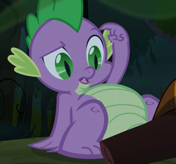 Size: 743x691 | Tagged: safe, screencap, character:spike, species:dragon, episode:spike at your service, g4, my little pony: friendship is magic, belly, confused, cropped, lying down, male, solo