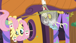 Size: 1920x1080 | Tagged: safe, screencap, character:discord, character:fluttershy, species:draconequus, species:pegasus, species:pony, episode:discordant harmony, g4, my little pony: friendship is magic, butterfly net, duo, female, ginseng teabags, male, mare, net, upside down