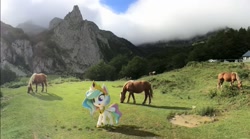 Size: 1229x684 | Tagged: safe, screencap, character:princess celestia, species:pony, g4.5, my little pony: stop motion short, my little pony:pony life, book filled adventure, car, horse, house, irl, irl horse, live action, mountain, one of these things is not like the others, pasture, photo, stop motion