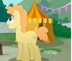 Size: 534x454 | Tagged: safe, screencap, species:earth pony, species:pony, friendship is magic: rainbow roadtrip, g4, my little pony: friendship is magic, background pony, cropped, discovery family logo, male, solo, stallion, unnamed character, unnamed pony