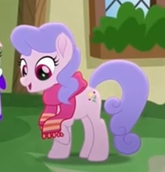 Size: 255x266 | Tagged: safe, screencap, species:earth pony, species:pony, friendship is magic: rainbow roadtrip, g4, my little pony: friendship is magic, background pony, clothing, cropped, female, mare, scarf, solo, unnamed character, unnamed pony