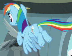 Size: 449x349 | Tagged: safe, screencap, character:rainbow dash, species:pegasus, species:pony, episode:daring doubt, g4, my little pony: friendship is magic, butt, cropped, flying, plot, solo