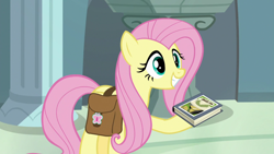 Size: 1920x1080 | Tagged: safe, screencap, character:daring do, character:fluttershy, species:pegasus, species:pony, episode:daring doubt, g4, my little pony: friendship is magic, bag, book, holding, saddle bag, solo