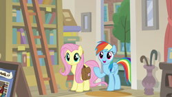Size: 1920x1080 | Tagged: safe, screencap, character:fluttershy, character:rainbow dash, species:pegasus, species:pony, episode:daring doubt, g4, my little pony: friendship is magic, bag, bookshelf, ladder, saddle bag