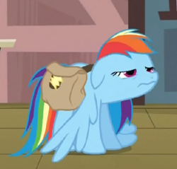 Size: 465x444 | Tagged: safe, screencap, character:rainbow dash, episode:games ponies play, g4, my little pony: friendship is magic, bag, saddle bag, solo