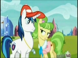 Size: 384x288 | Tagged: safe, screencap, character:chickadee, character:ms. peachbottom, character:shining armor, episode:games ponies play, g4, my little pony: friendship is magic, flirting