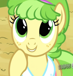 Size: 452x468 | Tagged: safe, screencap, character:chickadee, character:ms. peachbottom, episode:games ponies play, g4, my little pony: friendship is magic, cute, grin, looking up, smiling, solo
